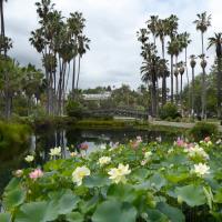 Echo Park 